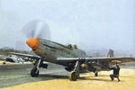 saaf.jpg