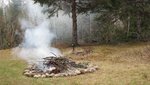 IMG_0893.jpg