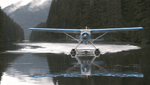 vlcsnap-2012-04-09-13h47m53s192.png