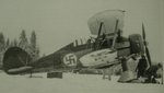 GL-258.jpg