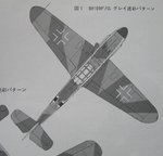 WNF Camo_0449.jpg