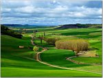 81_928987_1bcd515d57_b.jpg