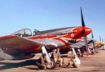 p-51d__shark_126.jpg