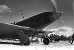 mig-3.jpg