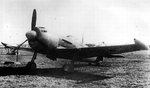 la-11.jpg