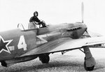 yak-3.jpg