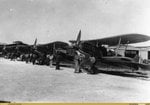 avc_00249808.jpg