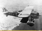 avc_00249737.jpg
