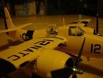 DSC06219.jpg
