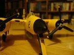 DSC06222.jpg
