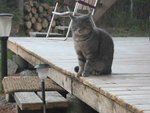 IMG_0275_2.jpg