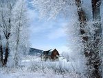 winter_wonderland__steamboat_springs__colorado_786.jpg