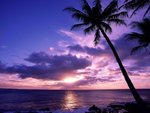 tahitian_paradise_981.jpg