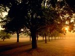 sunrise_in_the_park_129.jpg