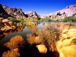 technicolor_terrain__joshua_tree_national_park__california_143.jpg