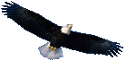 _cid_b9040ed9-9894-4a10-a9b5-228f9c52f677_183.gif