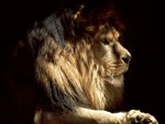 the_king_119.jpg