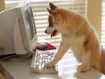user_friendly_666.jpg