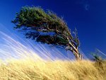 tierra_del_fuego__argentina_141.jpg