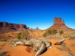 west_mitten__monument_valley__arizona_193.jpg