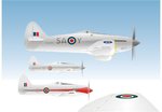 hawkpers_474.jpg