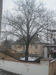 image22_526.jpg