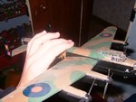 model_holidng_003_124.jpg
