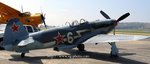 yak3e_996.jpg