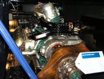 napier_lion_108.jpg
