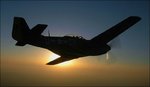 gunfighter-2_168.jpg