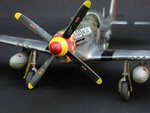 p51-9_174.jpg