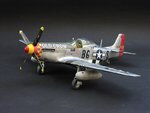 p51-2_432.jpg