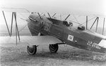 Curtiss 0-1.jpg