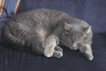 IMG_0549.jpg