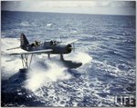 US2U-kingfisher.jpg