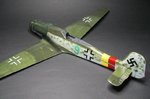 118_Wing crosses_0754.jpg