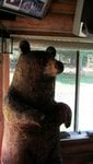 IMG_1028.jpg