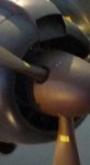 cut P1020530.JPG