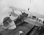 Grumman JF Duck 0033.jpg