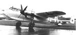 Dornier Do-217 002.jpg