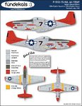 P-51D_Bunnie_Inst.jpg