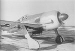 Focke Wulf Fw-190 009.jpg