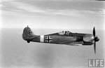 Focke Wulf Fw-190 0019.jpg