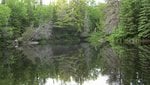 IMG_1088.jpg