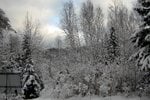 IMG_0327.jpg