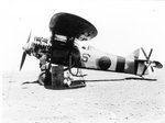 PWS-10.jpg