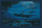 stalker_mossie_180612_smaller.jpg