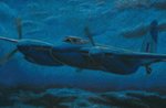 stalker_mossie_180612_close.jpg