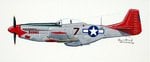 painting_P-51_Roscoe_Brown.jpg