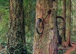 bike002.jpg